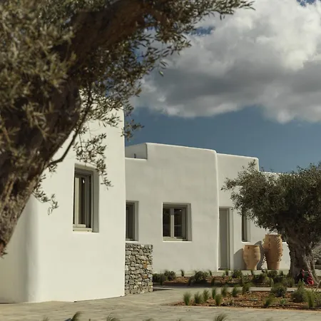 Casa Botanica - Heather Antiparos