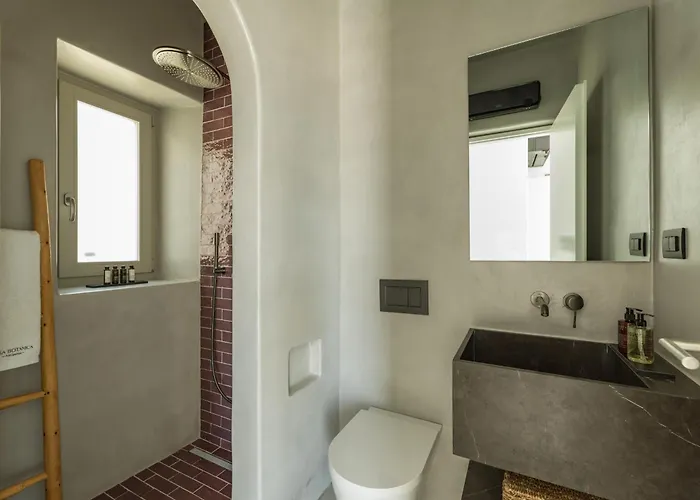 Casa Botanica - Heather 别墅 安提帕罗斯岛