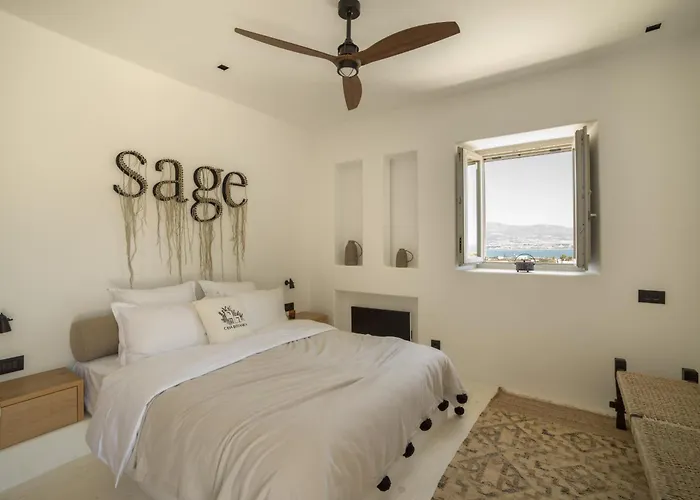 Casa Botanica - Heather